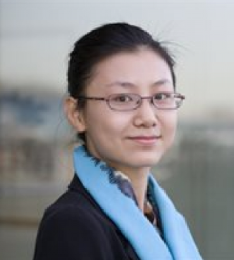 New Candidate Fellow: Su Wang